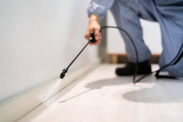 Licensed Cockroach Control service in Westphalia, MD - Nex Pest Control