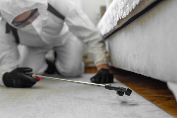 Professional Cockroach Control technician working in Westphalia, MD