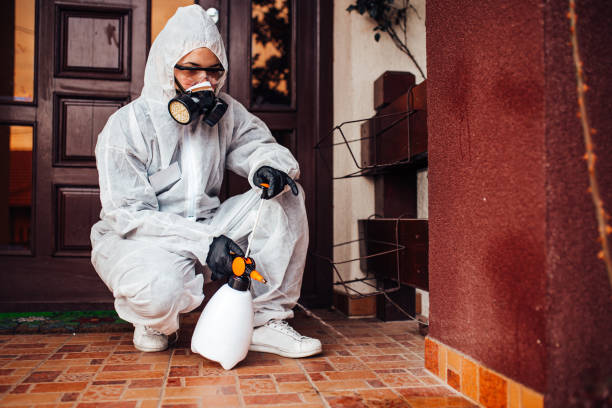 Reliable Cockroach Control contractor in Westphalia, MD by Nex Pest Control